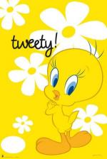 트위티 / Tweety: Yellow