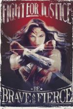 원더우먼 / Wonder Woman: Fight For Justice