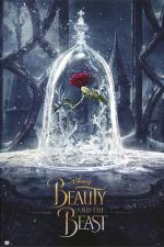 미녀와 야수 / Beauty & The Beast: Rose[Advanced]