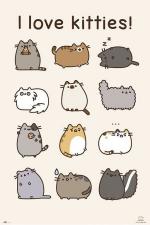 Push The Cat: I Love Kitties