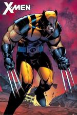엑스맨 / X-Men: Wolverine Berserker Rage