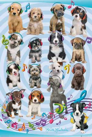 KEITH KIMBERLIN: Puppies Headphones 2