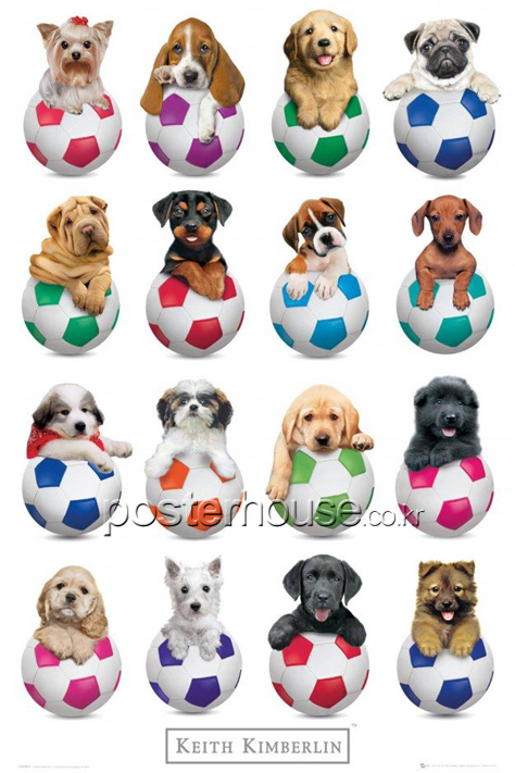 KEITH KIMBERLIN: Puppies Balls