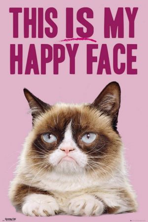 GRUMPY CAT: Happy Face