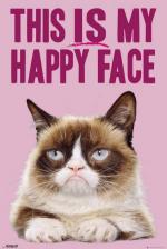 GRUMPY CAT: Happy Face