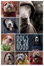 DOGS IN DA HOOD: Dogs