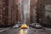 ASSAF FRANK: New York Taxi