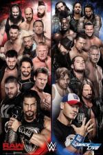 WWE: Raw v Smackdown