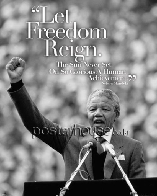 넬슨 만델라 / Nelson Mandela: Let Freedom Reign [Mini]