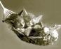Keith Kimberlin: Kittens in a Hammock [Mini]