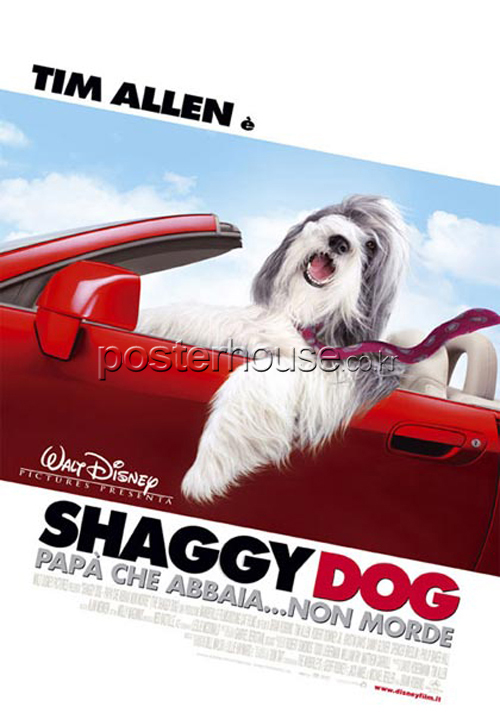 쉐기 독 / The Shaggy Dog [Regular]