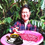 커피생두 500g 예멘 모카 마타리 고급 커피콩