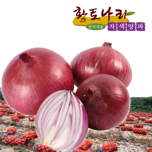 황토나라 햇자색양파  특상품 10kg