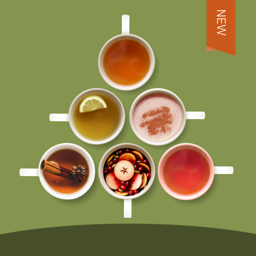 포시즌즈 에디션