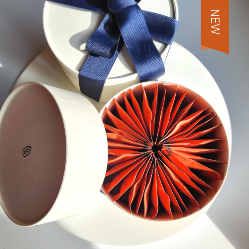 실론시나몬티 선물세트