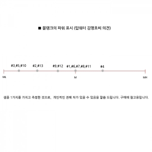 묻지마 2PCS 블랭크