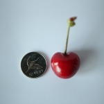 [항공직송]미국 워싱턴 체리_500g*2팩/4팩