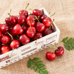 [항공직송]미국 워싱턴 체리_500g*2팩/4팩