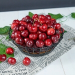 [항공직송]미국 워싱턴 체리_500g*2팩/4팩