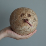 Biz_코코넛 20과_1박스(17kg)