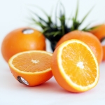 호주 네이블 오렌지 72과_12개입/22개입/30개입