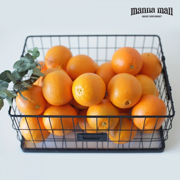 호주 네이블 오렌지 72과(17kg)