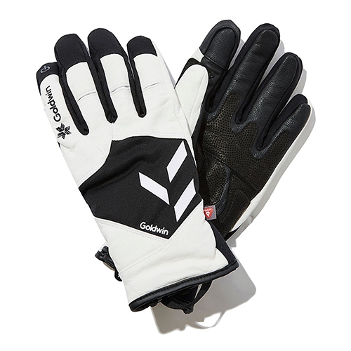 골드윈 스키장갑(2122 GOLDWIN UNI LEATHER SKI GLOVE WHITE)