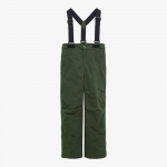 2122 GOLDWIN J ALPINE PANTS GREEN