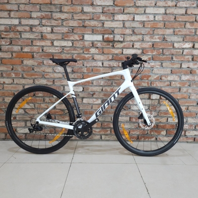 2026 자이언트 패스트로드 AR 어드밴스 1 (105구동계)