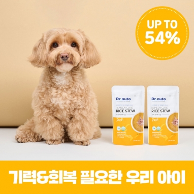 [강아지강씨PICK]🐶✨닥터뉴토 강아지 전용 리메디케어 미음 오리 120g 10/20/30팩 골라담기