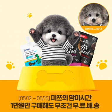 [미쯔PICK] 닥터뉴토 & 앱솔루트 홀리스틱 베스트! 에어드라이 사료부터 펫밀크까지 골라담기🚛🐶
