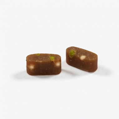 [NEW] 닥터뉴토 듀얼캡슐 조인트 J케어 강아지 100g