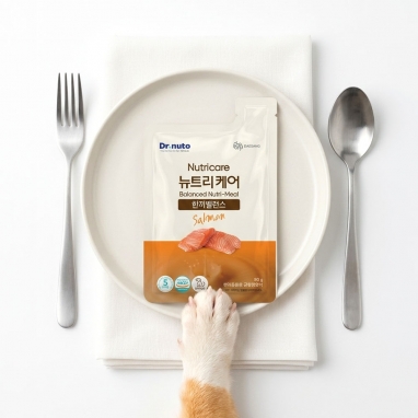 [주식 맛보기] 닥터뉴토 뉴트리케어 한끼밸런스 연어 강아지 80g 1팩