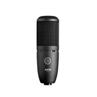 AKG P120