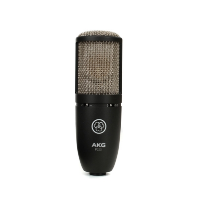 AKG P220