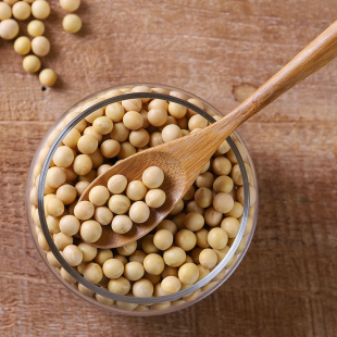 고인돌 국내산백태 메주콩 백태콩 5kg