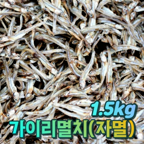 고인돌 국내산 볶음 마른멸치 1.5kg 가이리멸치