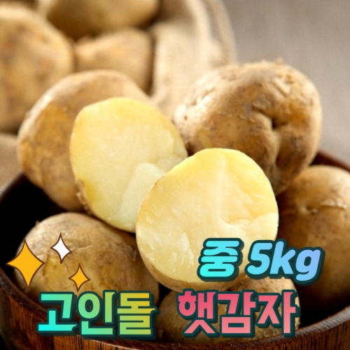 고인돌 햇감자 조림용 알감자 중 감자5kg