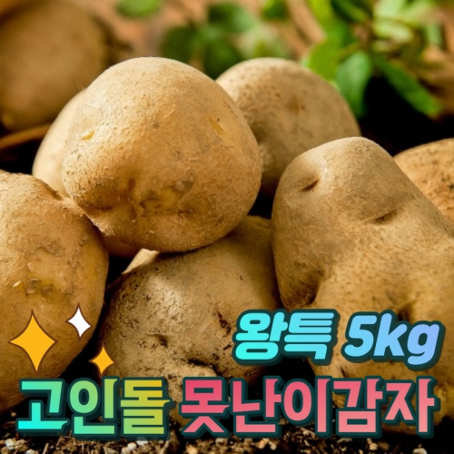 고인돌 햇 못난이감자 요리용 왕특 감자5kg