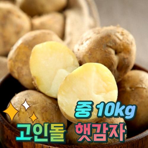 고인돌 햇감자 조림용 알감자 중 감자10kg