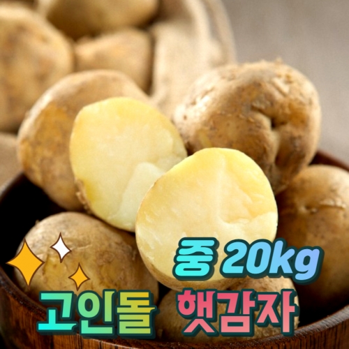고인돌 햇감자 조림용 알감자 중 감자20kg