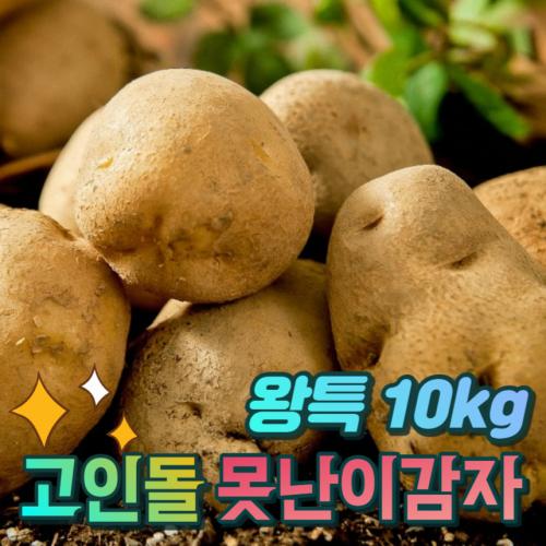 고인돌 햇 못난이감자 요리용 왕특 감자10kg
