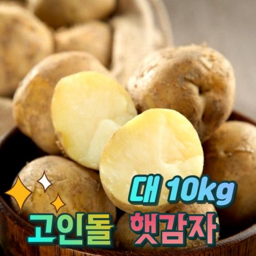 고인돌 햇감자 쪄먹는 찐감자 대 감자10kg