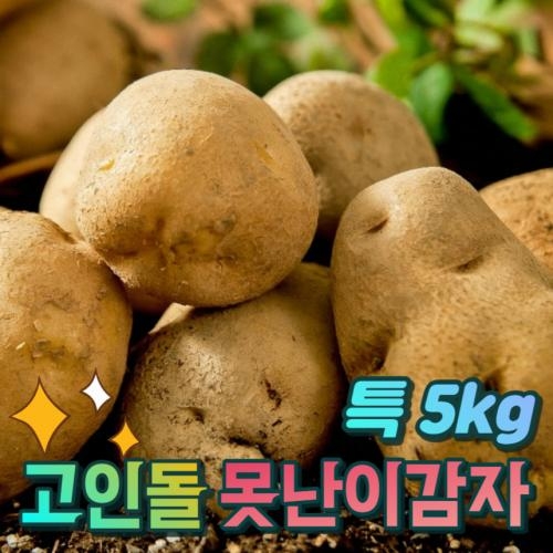 고인돌 햇 못난이감자 찜 요리용 특 감자5kg