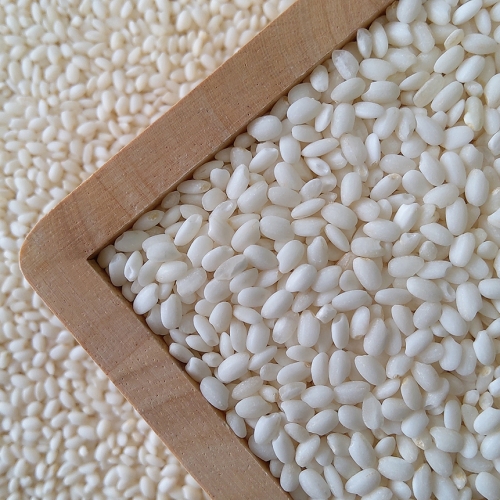 고인돌 쌀1kg 강화섬쌀 찹쌀 23년 햅쌀