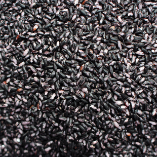 고인돌잡곡 국내산 검정쌀 깐찰흑미 500g+500g