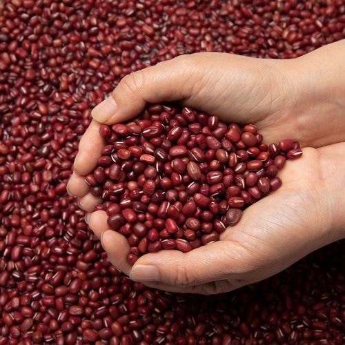 국산팥 팥 적두팥 적두1kg