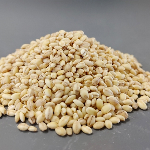 고인돌잡곡 국내산 찰보리쌀 찰보리 1kg+1kg