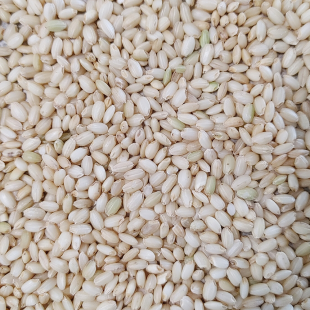 24년햅쌀 고인돌 쌀4kg 찰현미 국내산_정미소직판