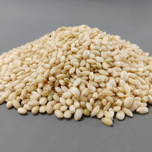 24년햅쌀 고인돌 쌀4kg 찰현미 국내산_정미소직판